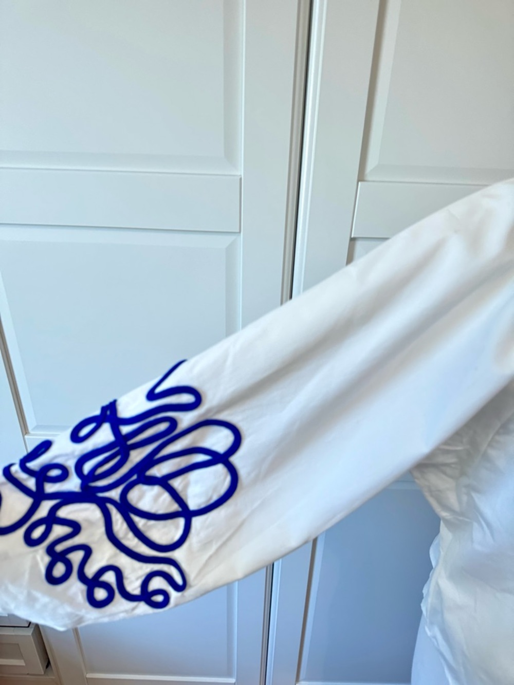 Tuckernuck Hyacinth House White Royal Blue Soutache Stella Blouse Embroidered M - Picture 8 of 11